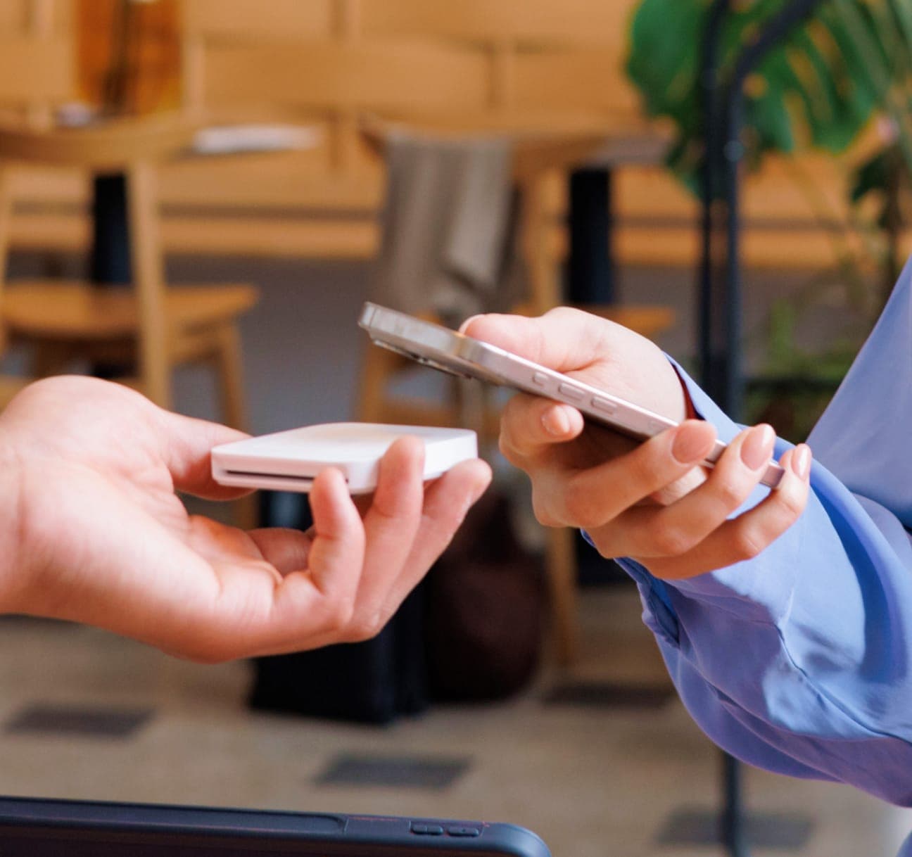 Ecosystem Partners Masthead